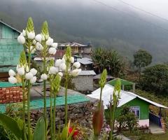 Screenshot 20200222 111922